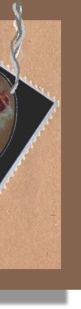 Marke: Laferme Cigaretten